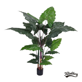 Kunstpuu Alocasia